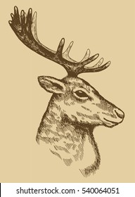 retro reindeer head side drawing. Christmas deer etching.