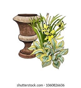 Retro rusty garden vase with hosta and hemerocallis flowers. Hand drawn and colored sketch isolated on white background. Vector illustration.