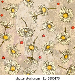 Retro seamless pattern chamomile  with vintage texture. Vector illustration