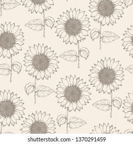 Retro seamless pattern with outline ink pen sunflower sketch on tender beige background. Brown hand drawn illustration of beautiful sun flower, texture for textile, wrapping paper, surface