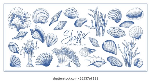 Retro seashell and marine creatures collection. Hand drawn ocean mollusks, spiral shells and underwater corals in classic Mediterranean blue ink style. Nautical vector set for print design, stickers