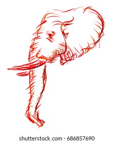 Retro Sketch of an Elephant Head