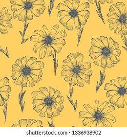 Retro sketchy seamless pattern with blue outline ink pen chamomile flowers on tender blue background. Hand drawn illustration of beautiful gerbera flower, texture for textile, wrapping paper, surface