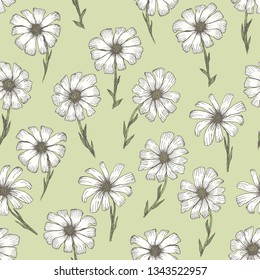 Retro sketchy seamless pattern with white chamomile flowers on tender green background. Hand drawn illustration of beautiful gerbera flower, texture for textile, wrapping paper, surface