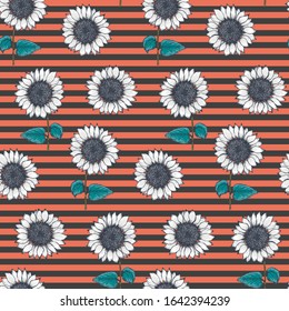 Retro striped seamless pattern with white sketch sunflowers on black and red background. Trendy hand drawn beautiful sun flower texture for textile, wrapping paper, surface