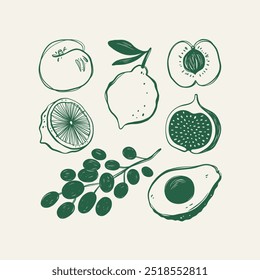 Colección de estilo retro de diferentes frutas. Arte de pared de cocina. Ilustración vectorial