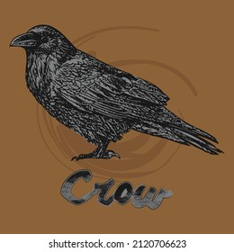 retro style crow drawing vector design