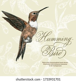 Retro style hand-drawn hummingbird vector illustration with botanical decorative elements.