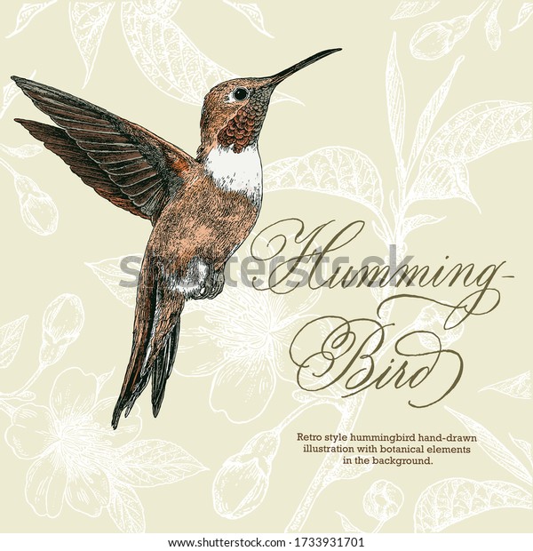 Retro style hand-drawn hummingbird\
vector illustration with botanical decorative\
elements.