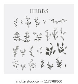 The retro style herbs