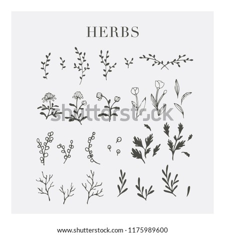 The retro style herbs