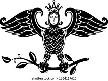 Retro style illustration of a harpy, a half-human and half-bird personification of storm winds depicted as bird with head of a maiden, perch on branch on isolated background in black and white.