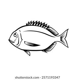 Retro style illustration of a Yellowback Bream, Dentex spariformis, Cape Moreton Sea Bream, Deepsea Snapper, Saffron Seabream, Yellowback Seabream side view on isolated background in black and white.