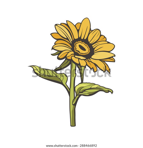 Download Retro Sunflower Vector Visual Graphic Icon Stock Vector ...