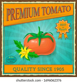 Retro tomato vintage advertising poster. vector label or banner with red ripe tomato fruits, green leaves in vintage style. square grunge illustration of tomato product. old fashioned ad of vegetable.