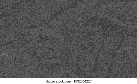Mapa topográfico retro. Mapa de contorno geográfico. Cuadrícula de contorno abstracto, ilustración vectorial.