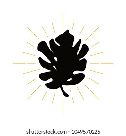 Retro tropical leaf silhouette logo. Tropics sign and vintage logotype. Grass icon. Exotic symbol. Vector