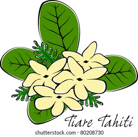 Retro Tropical Tahitian Tiare Flowers and Leaves Vector Illustration