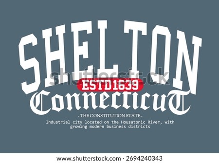 Retro typography college varsity Shleton Connecticut State slogan with Grunge effect for jersey, t-shirt, or wall art design - Vector