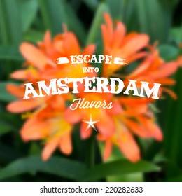 Retro Typography. Travel label on blurry background - "Escape into Amsterdam flavors". Vector design. 