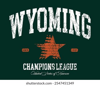 Retro tipografia varsity college estados unidos da américa campeões estaduais slogan imprimir com vintage estrela angustiado textura para t-shirt gráfica ou moletom capuz - Vetor