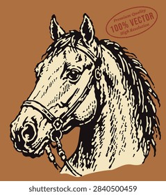 Retro vector illustration of a ranch horse head portrait
