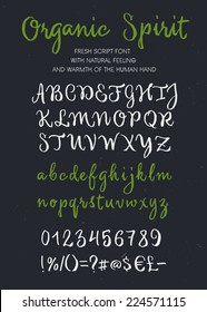 Retro Vector 'Organic Spirit' Brush Script Lettering Font, Handwritten Calligraphic Alphabet