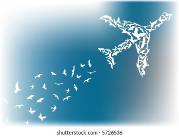 retro vector plane that occurs from birds