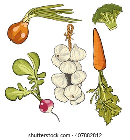 Retro vector set of vegetables. Vector illustration, isolated on a white background.