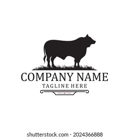 Retro Vintage Angus Cattle Farm Livestock logo design template vector illustration 