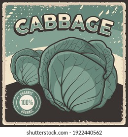 Retro Vintage Cabagge Vegetable Poster