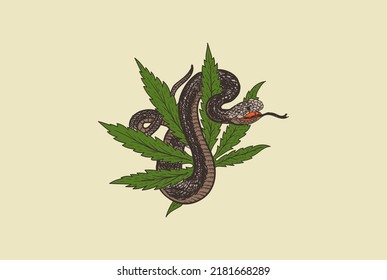 Retro Vintage Cannabis Marijuana Leaf With Cobra Viper Mamba Snake For Tattoo Design Vector