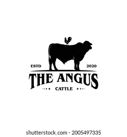 Retro Vintage Cattle Angus Beef Emblem Label Livestock Logo Design Vector