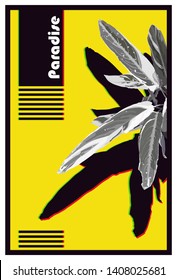 Retro vintage cover, invitation, magazine template, vhs era inspiration glitch elements and tropical plant (Maranta) in black and white, cool and nostalgic design background illustration