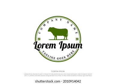 Retro Vintage Cow Angus Beef Emblem Livestock Logo Design Vector