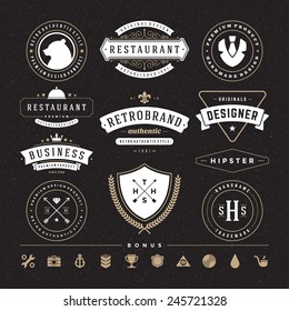 Retro Vintage Insignias or Logotypes set. Vector design elements, business signs, logos, identity, labels, badges and objects. 