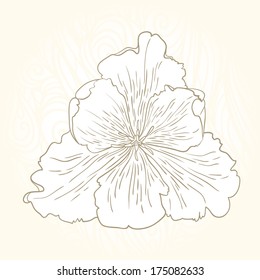 Retro vintage lily flower