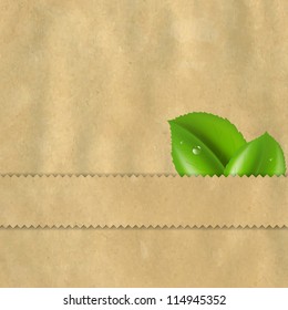Retro Vintage Paper With Leaves, Vector Illustration