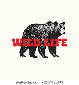 Retro Vintage Wild Life Bear Vector Illustration	