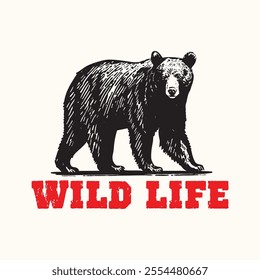 Retro Vintage Wild Life Bear Vector Illustration	