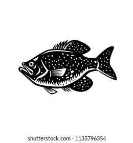 Retro woodcut style illustration of a  crappie fish, papermouths, strawberry bass, speckled bass, specks, speckled perch, crappie bass, calico bass, a North American fresh water fish viewed from side.