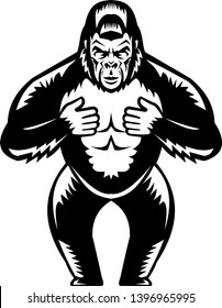 Retro woodcut style illustration of a silverback gorilla  thumping or beating it's chest viewed from front on isolated background done in black and white.