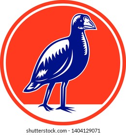 Retro woodcut style illustration of a takahe, the South Island takahe or notornis, a flightless bird indigenous to New Zealand viewed from side set inside oval shape on isolated background.