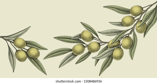 Retro woodcut style olive illustration elements for design use