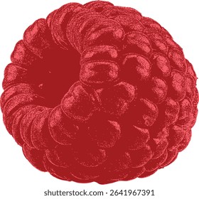 Retro-style raspberry engraving, isolated fruit vector sketch. Suitable for jam labels, menus, recipe books, eco branding, or artisanal food design.