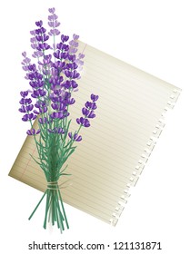 Retro-styled background with lavender bunch and a leaf of paper
