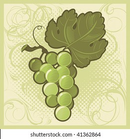 Retro-styled green grape bunch. Vector illustration.