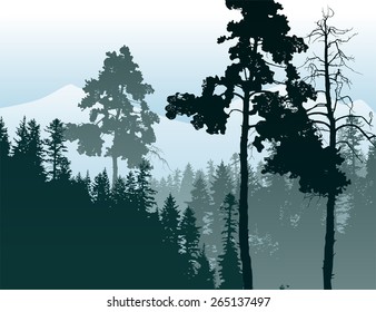Retro-styled poster with coniferous forest landscape