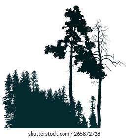 Retro-styled poster with coniferous forest landscape