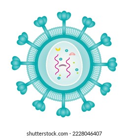 Retrovirus Structure vector illustration graphic template